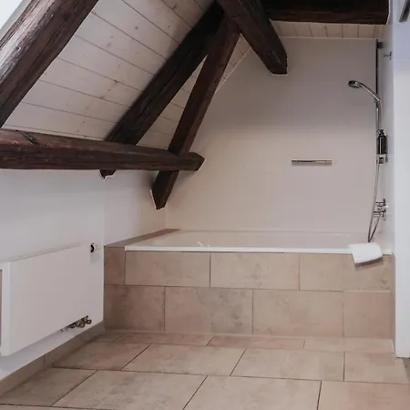 Design & Restaurant Loewen 4* Ulm