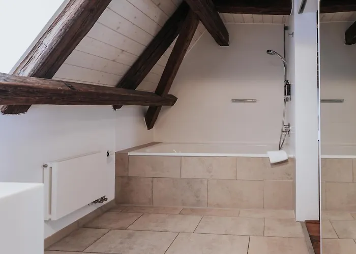 Design Hotel&restaurant Löwen 4* Ulm