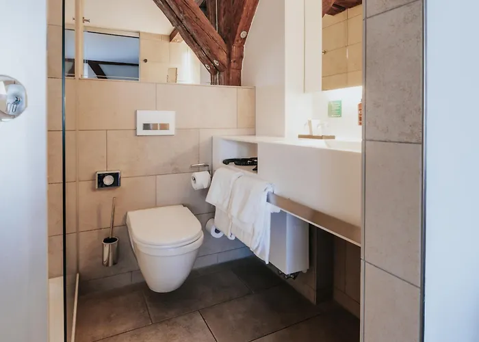 Design Hotel&restaurant Löwen 4* Ulm