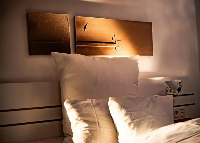 Design Hotel&restaurant Löwen 4* Ulm